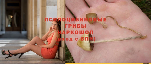 винт Богданович