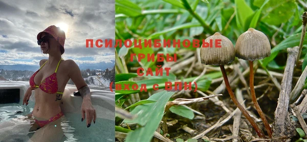 ALPHA-PVP Богородицк