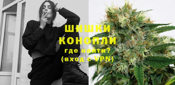 винт Богданович
