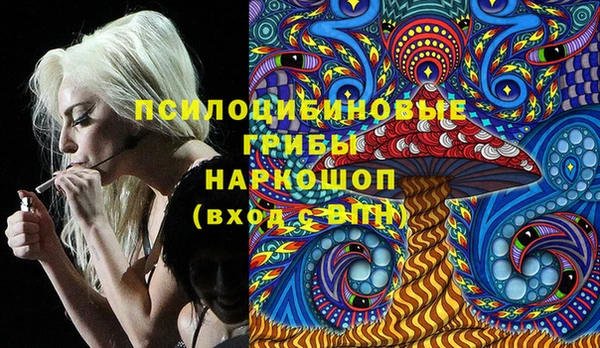 ALPHA-PVP Богородицк