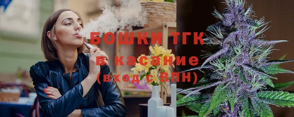 ALPHA-PVP Богородицк