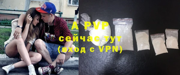 винт Богданович