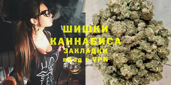 винт Богданович