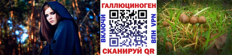 Купить закладки  Бирск  Галлюциногенные грибы Magic Shrooms 